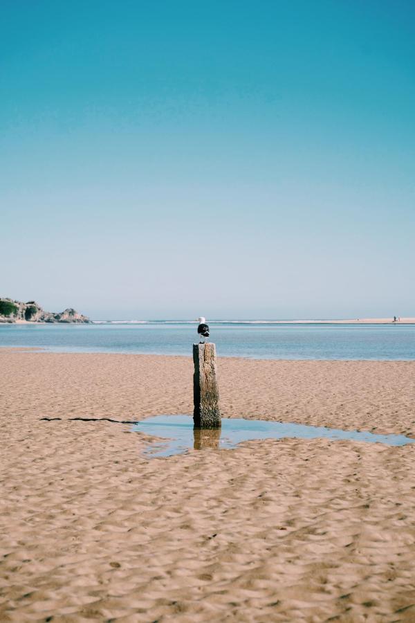 The Oyster Box Beach House By The Oyster Collection Kenton on Sea Ngoại thất bức ảnh